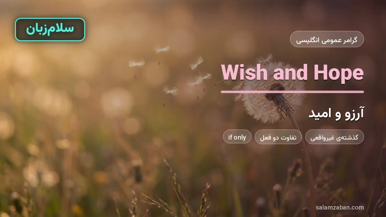 wish و hope