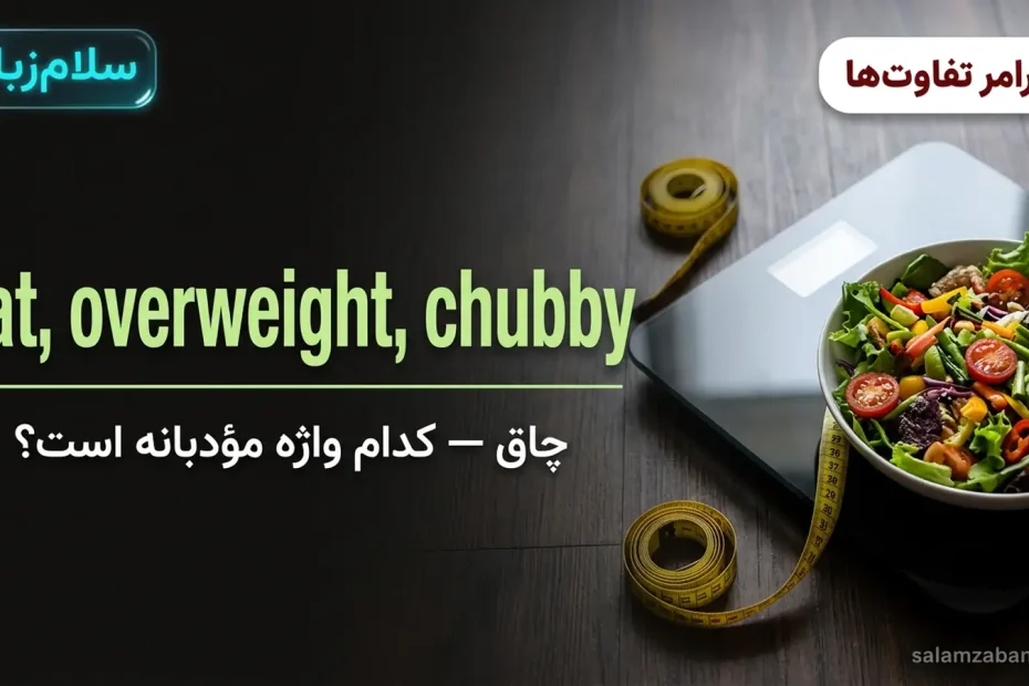تصویر شاخص درس تفاوت fat و overweight و chubby — ترازو، متر اندازهگیری و کاسهٔ سالاد با عنوان fat overweight chubby