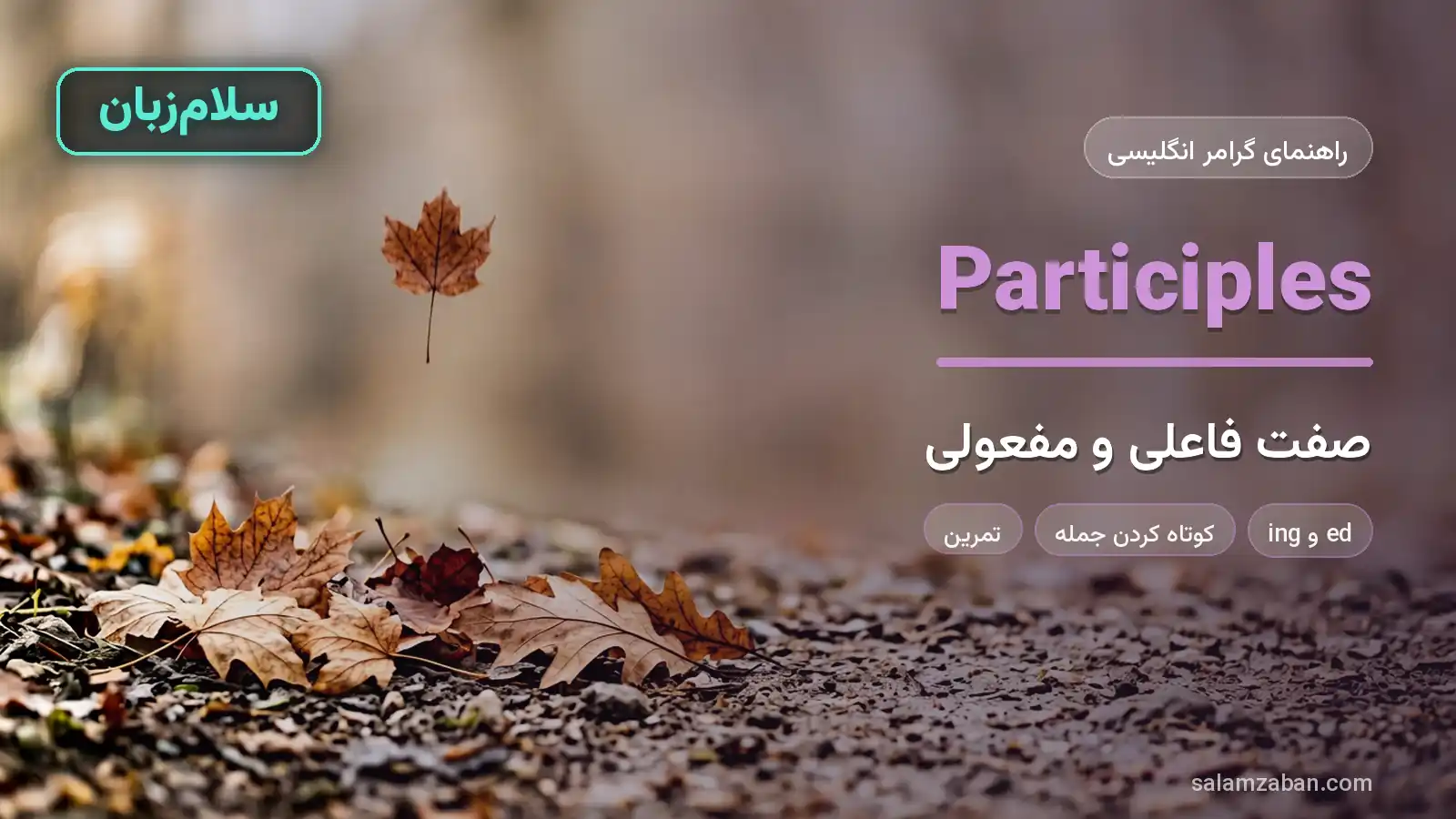 صفت فاعلی و مفعولی