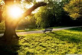 good afternoon