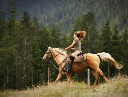 horse riding