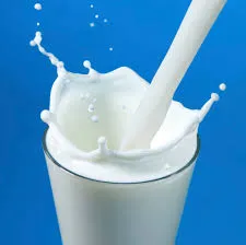 شیر آموزش اسم غذاها به انگلیسی