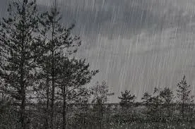rainy