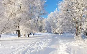 snowy