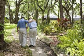 walking in the park