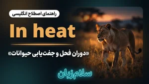 In heat | In heatدوران فحل و جفتیابی حیوانات | In heatدوران فحل و جفتیابی حیوانات | In heatدوران فحل و جفتیابی حیوانات — In heatدوران فحل و جفتیابی حیوانات معنی In heat | In heatدوران فحل و جفتیابی حیوانات | In heatدوران فحل و جفتیابی حیوانات | In heatدوران فحل و جفتیابی حیوانات | In heatدوران فحل و جفتیابی حیوانات