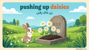 pushing up daisies | pushing up daisiesمرده و توی خاک؛ طنزِ تلخِ مرگ | pushing up daisiesمرده و توی خاک؛ طنزِ تلخِ مرگ | pushing up daisiesمرده و توی خاک؛ طنزِ تلخِ مرگ — pushing up daisiesمرده و توی خاک؛ طنزِ تلخِ مرگ معنی pushing up daisies | pushing up daisiesمرده و توی خاک؛ طنزِ تلخِ مرگ | pushing up daisiesمرده و توی خاک؛ طنزِ تلخِ مرگ | pushing up daisiesمرده و توی خاک؛ طنزِ تلخِ مرگ | pushing up daisiesمرده و توی خاک؛ طنزِ تلخِ مرگ