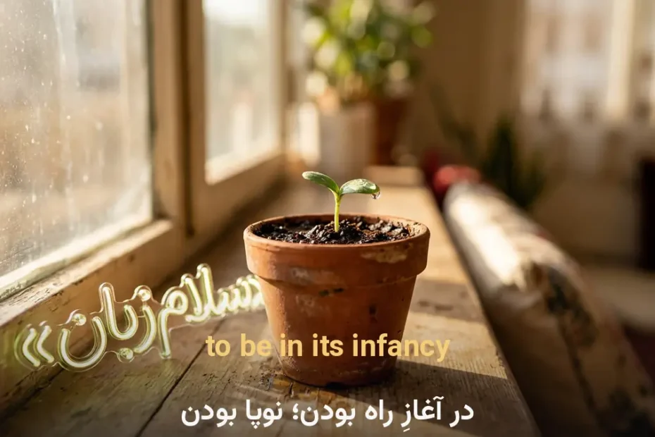 معنی to be in its infancy در انگلیسی؛ در آغازِ راه بودن؛ نوپا بودن
