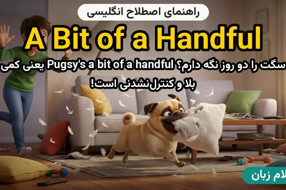 معنی a bit of a handful؛ کاربرد و مثال