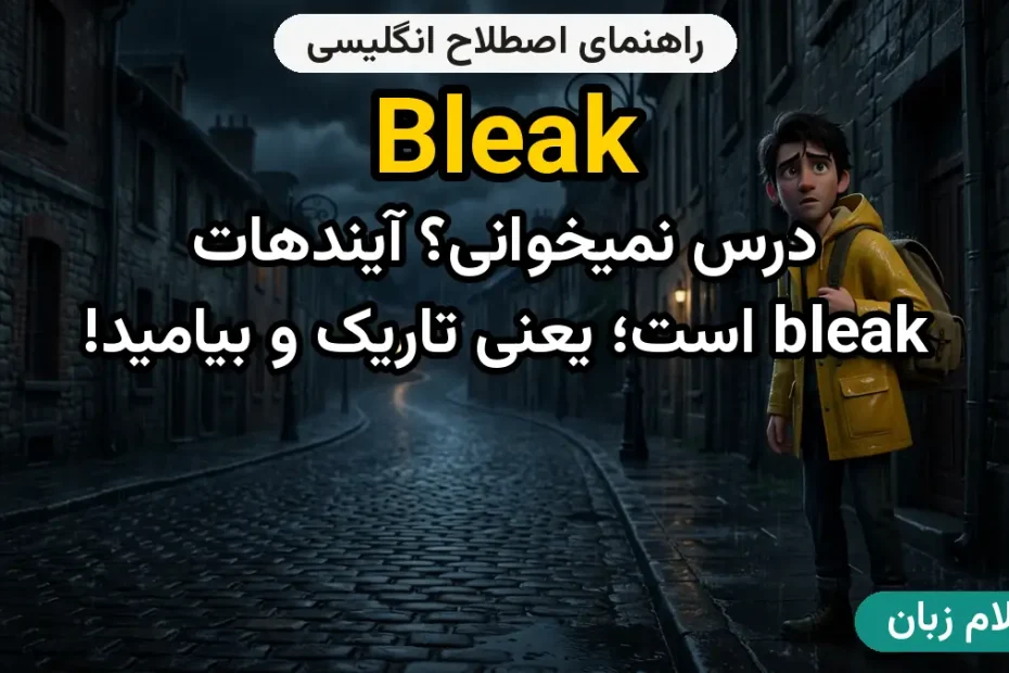 معنی bleak؛ کاربرد و مثال