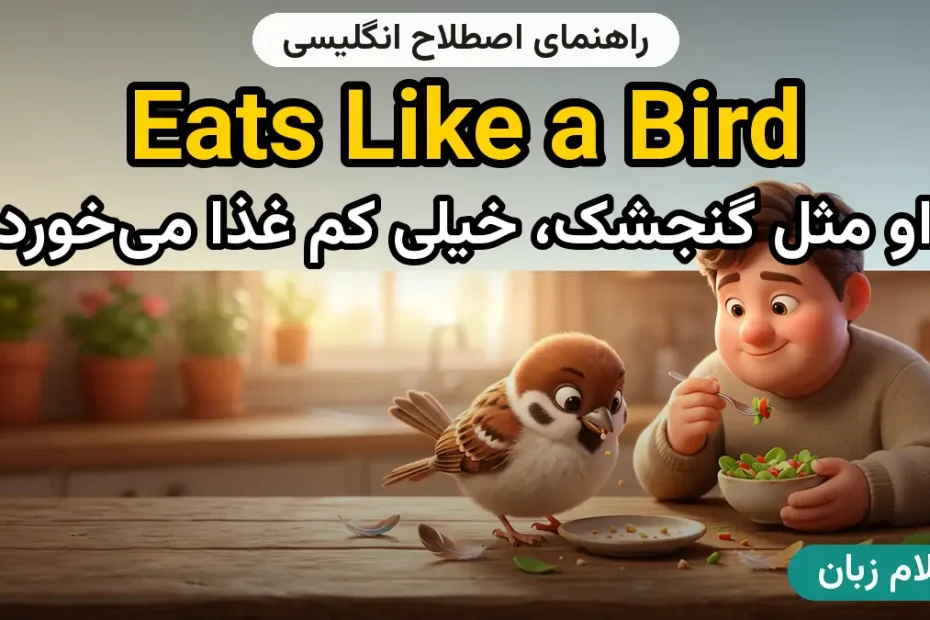 معنی eats like a bird؛ کاربرد و مثال