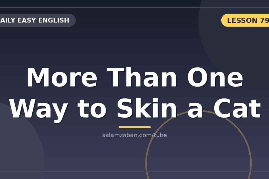معنی more than one way to skin a cat