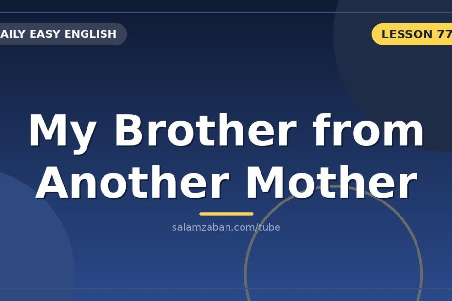معنی brother from another mother