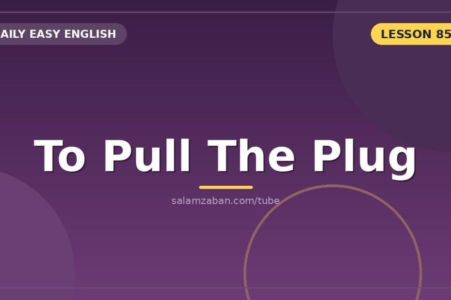 از قطعِ پشتیبانی تا تصمیمِ سنگینِ بالین: «pull the plug on»