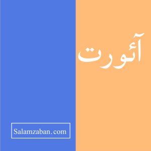  آئورت  در زبان انگلیسی