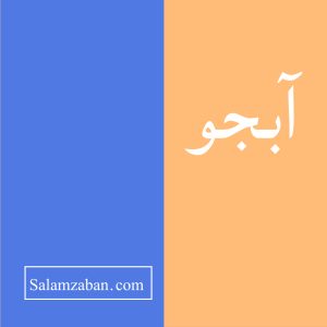 آبجو معنی فارسی انگلیسی