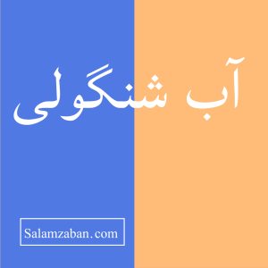 معنی آب شنگولی