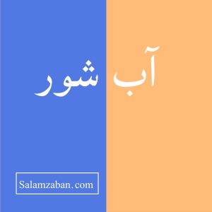 معنی آب شور