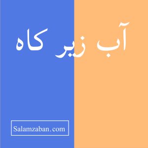 آب زیر کاه معنی انگلیسی