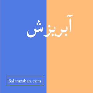 آبریزش معنی انگلیسی