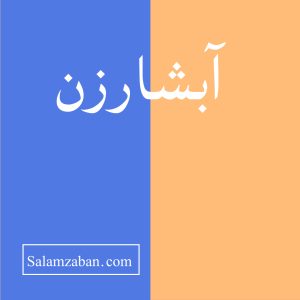 آبشارزن والیبال معنی انگلیسی