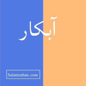 آبکار معنی انگلیسی