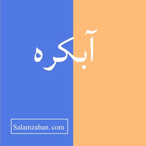 آبکره معنی انگلیسی