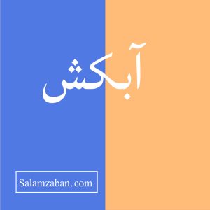 آبکش معنی انگلیسی