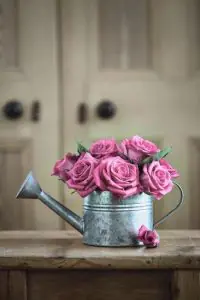آموزش تضمینی زبان انگلیسی و انتخاب درِ درست